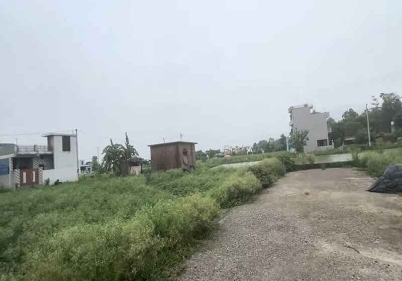 plot 44
